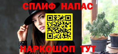 хмурый Тара