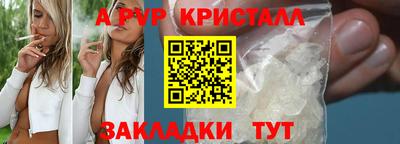 хмурый Тара