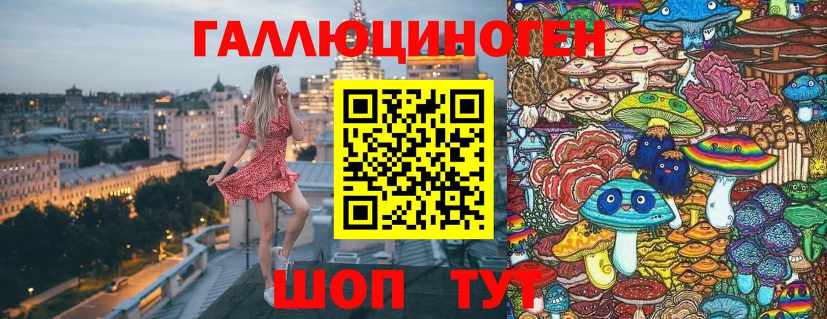 Псилоцибиновые грибы Cubensis Нурлат
