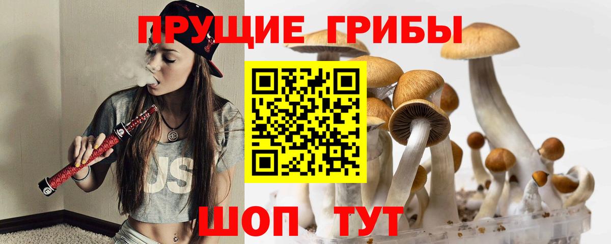 Галлюциногенные грибы Psilocybine cubensis  Галлюциногенные грибы ЛСД  Вход с VPN  Нурлат 